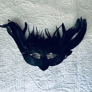 Raven/Crow Costume Black Wings/Mask/Feathers